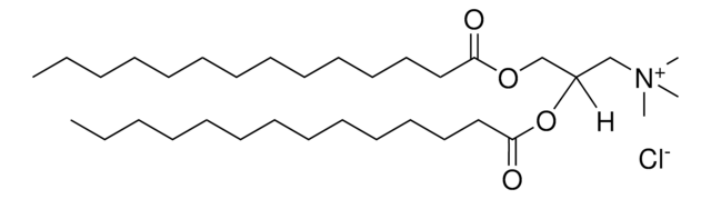 Tapper Powder 14:0 TAP powder Avanti Polar Lipids