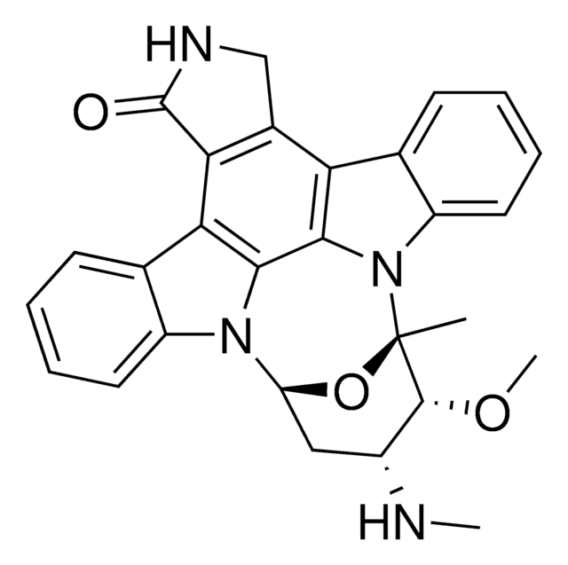 Staurosporine, Streptomyces sp. InSolution, ≥97%, 1 mM solution, protein kinase inhibitor